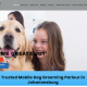 Dog grooming in Johannesburg