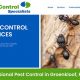 Common Pests in South Africa
